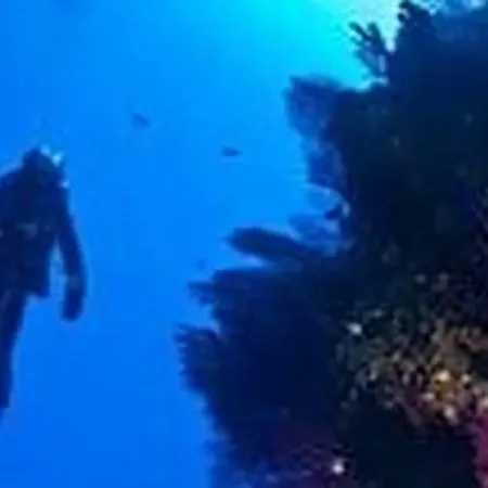 Winter Palace * Menton